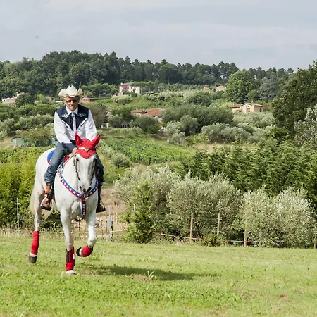 Corte Benedetto Country house Montecarlo
